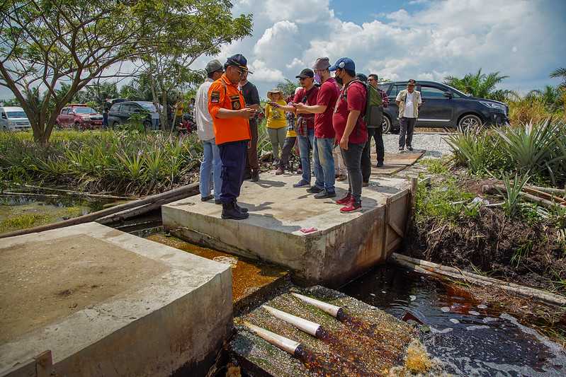 Sekat kanal beton yang dirancang untuk pembasahan lahan gambut. Umumnya sekat kanal terbuat dari kayu yang membutuhkan perawatan rutin.