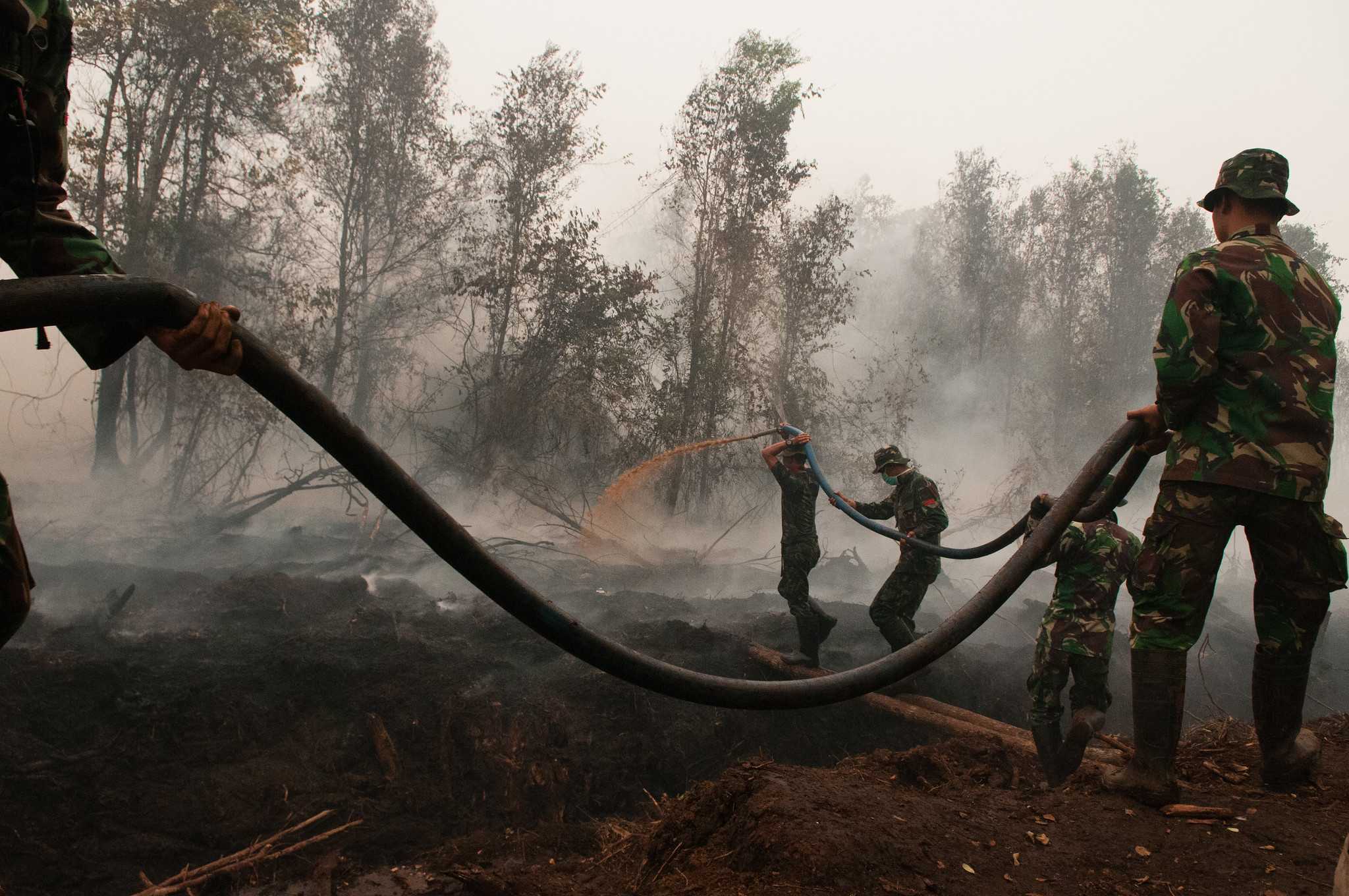 Pemadam kebakaran dan personel militer memadamkan api yang membakar lahan gambut di sekitar Palangka Raya, Kalimantan Tengah, 2015.